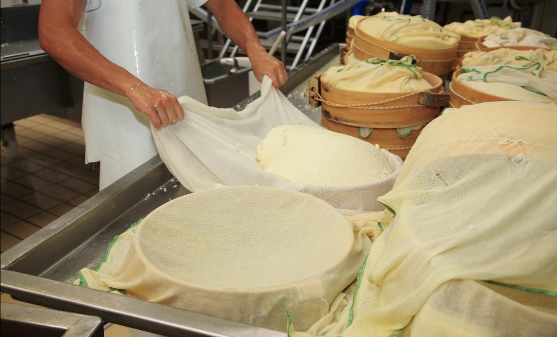What Does A Cheese Maker Do (including Their Typical Day at Work)