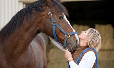 A women attaching a bridle on a brown horse at her livery stables